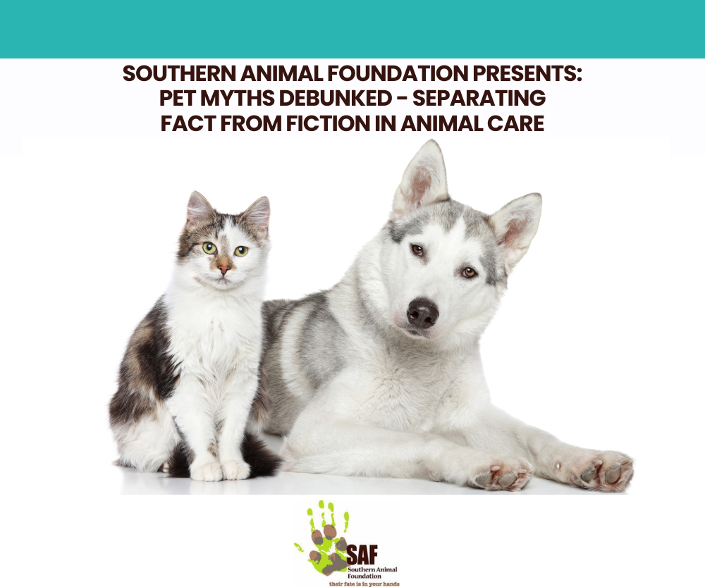 Southern Animal Foundation Presents Pet Myths Debunked - Separating Fact from Fiction in Animal Care